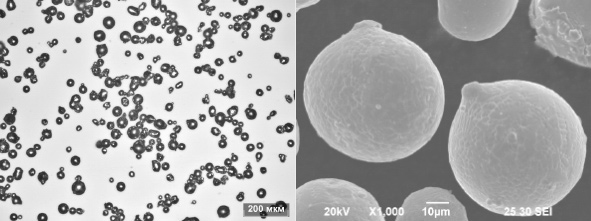 Photo of AP-CoCr23Ni26 particles, grain size 20-56 mkm.